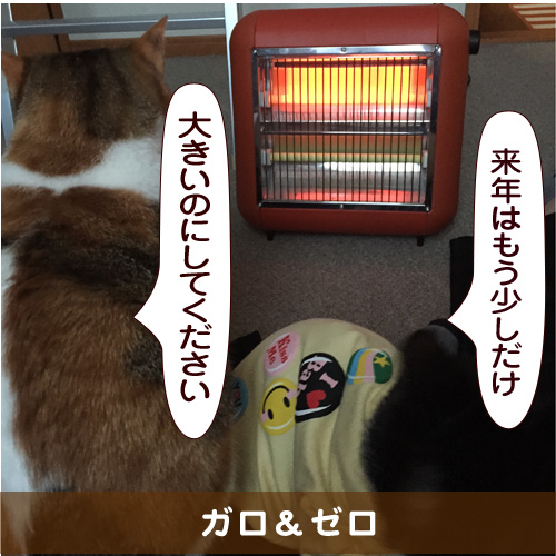 20150525_touko.jpg