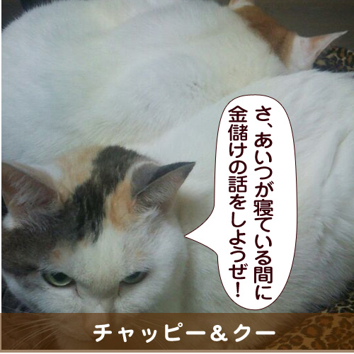 20150527_touko.jpg
