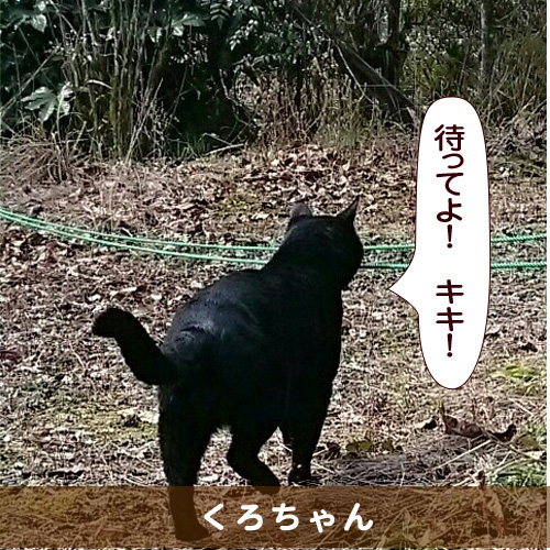 20150529_touko.jpg