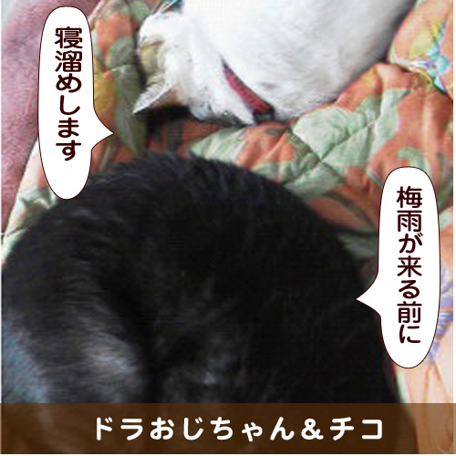 20150531_touko.jpg