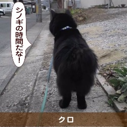 20150601_touko.jpg