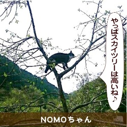20150603.jpg