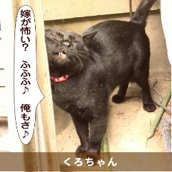 20150606.jpg