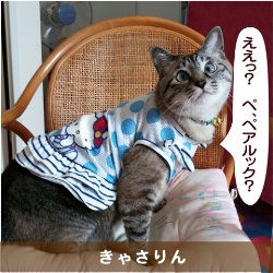 20150607.jpg