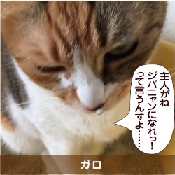 20150609.jpg