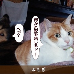 20150610.jpg