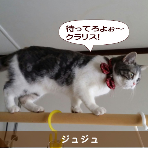 20150611_touko.jpg