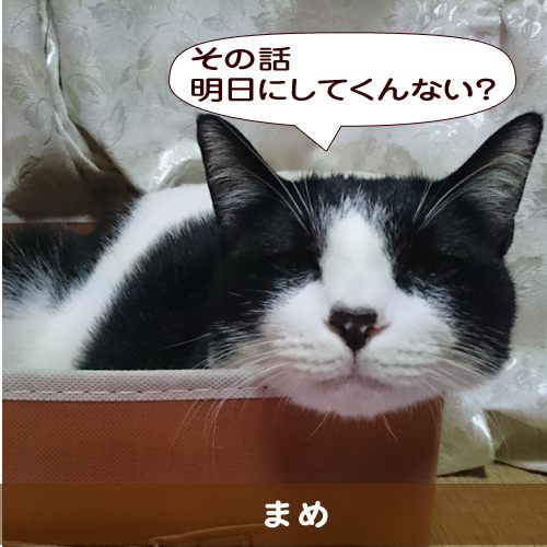 20150612_touko.jpg