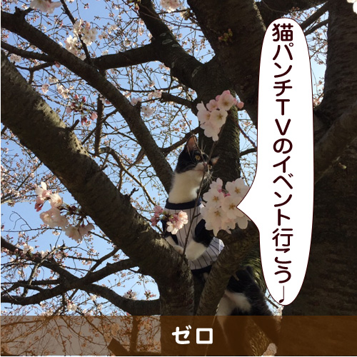 20150616_touko.jpg