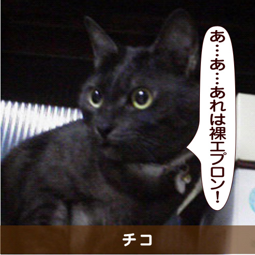 20150618_touko.jpg