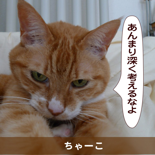 20150619_touko.jpg