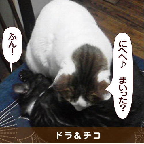 20150620_touko.jpg