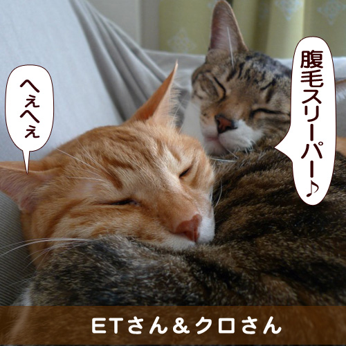 20150621_touko.jpg