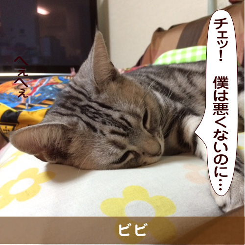 20150622_touko.jpg