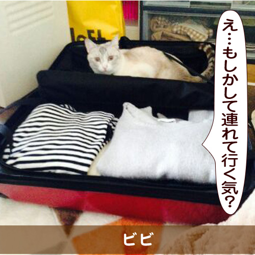 20150623_touko.jpg
