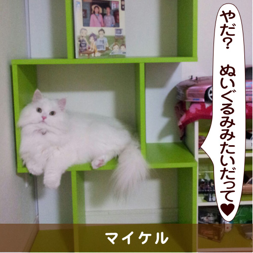 20150624_touko.jpg