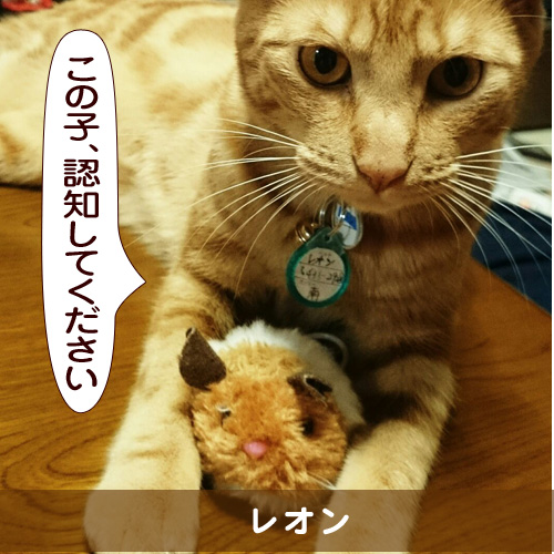20150625_touko.jpg
