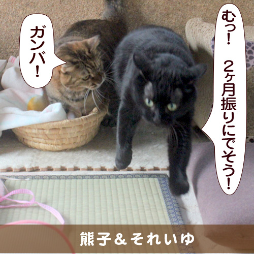 20150627_touko.jpg