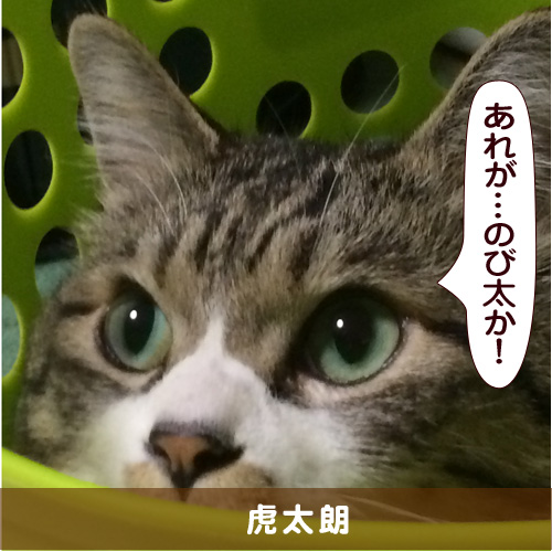 20150628_touko.jpg