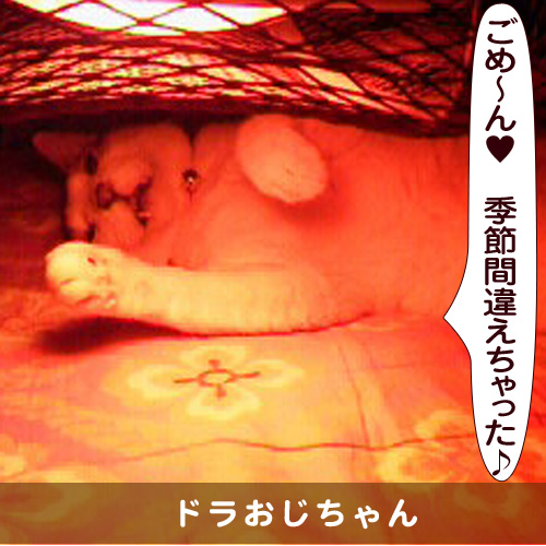 20150630_touko.jpg