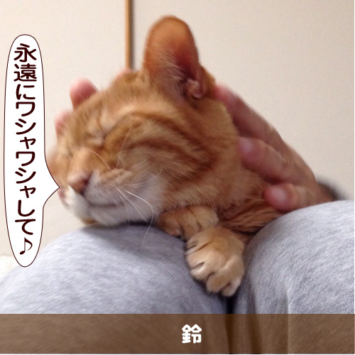 20150701_touko.jpg