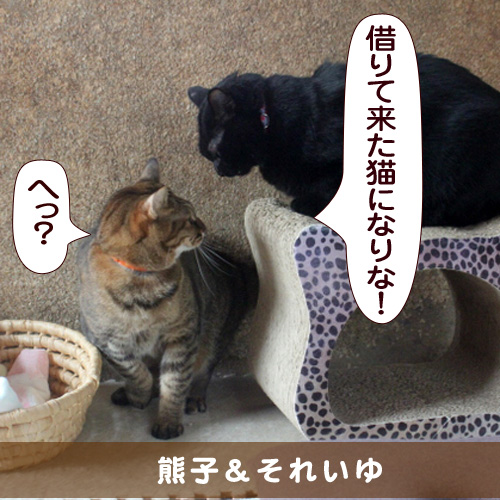 20150703_touko.jpg