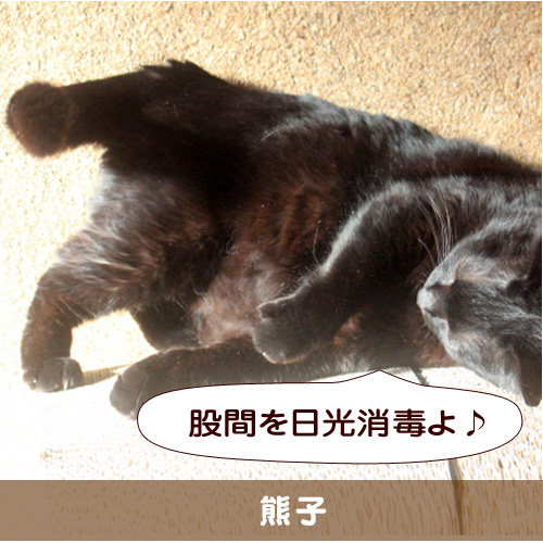 20150704_touko.jpg