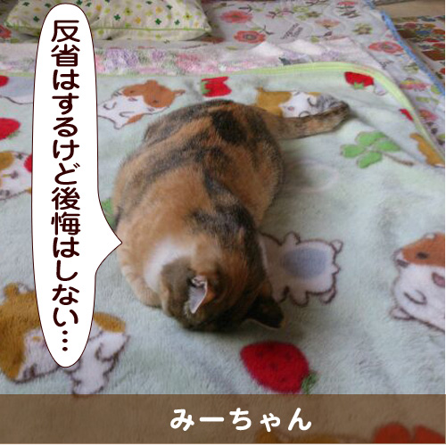 20150707_touko.jpg