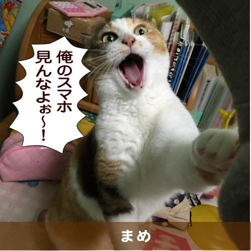 20150708_touko.jpg