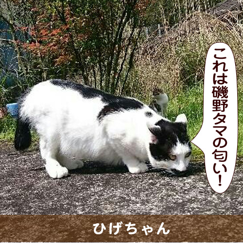 20150709_touko.jpg