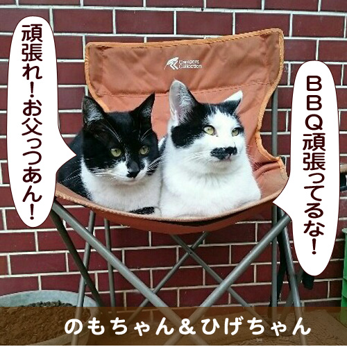 20150710_touko.jpg