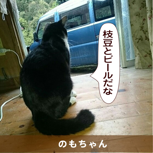 20150711_touko.jpg