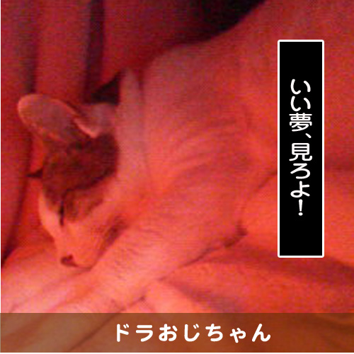 20150712_touko.jpg