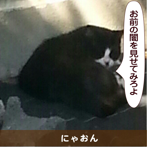 20150713_touko.jpg