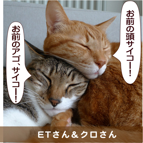 20150714_touko.jpg