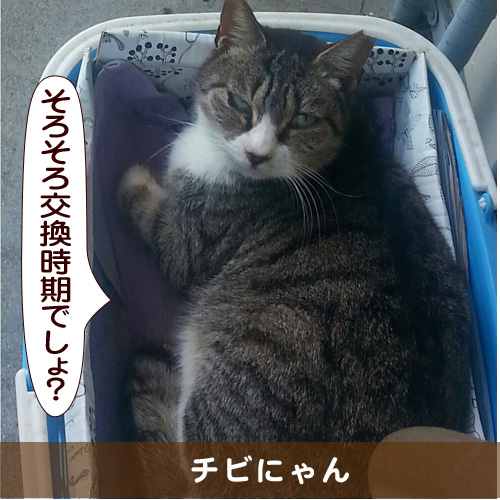 20150715_touko.jpg