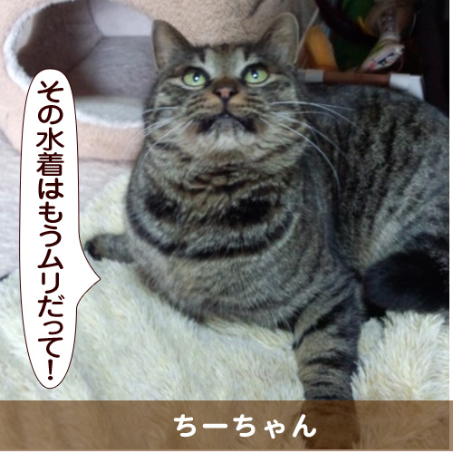 20150716_touko.jpg