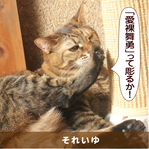 20150717_touko.jpg