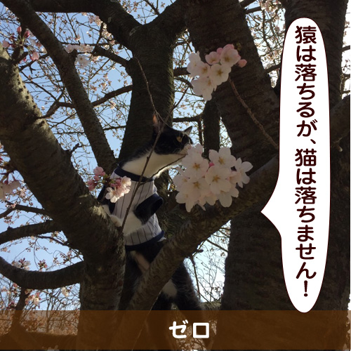 20150718_touko.jpg