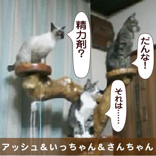 20150719_touko.jpg