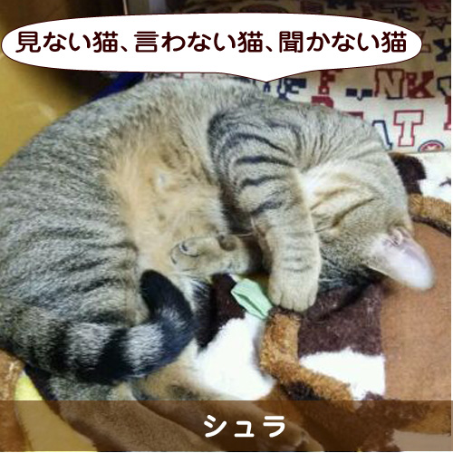 20150720_touko.jpg