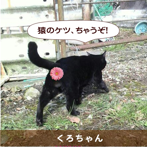 20150721_touko.jpg