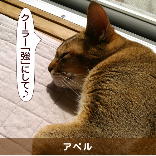 20150722_touko.jpg