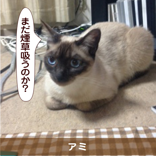 20150723_touko.jpg