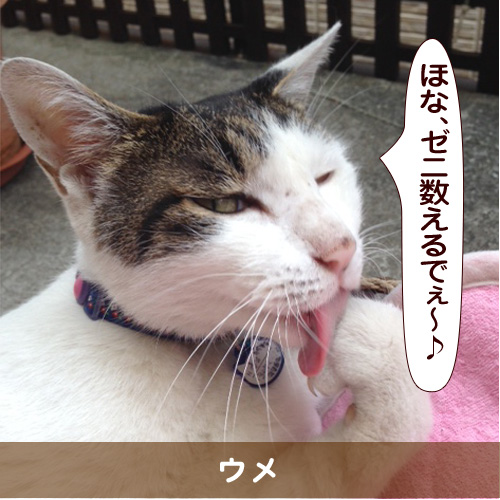 20150724_touko.jpg