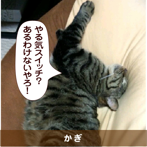 20150725_touko.jpg