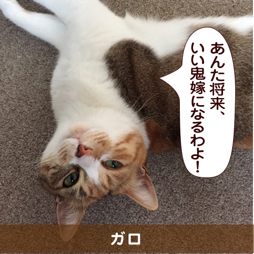 20150726_touko.jpg