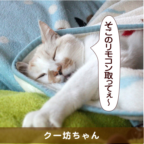 20150727_touko.jpg