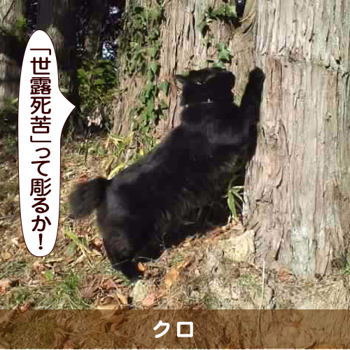 20150728_touko.jpg