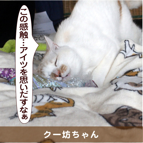 20150730_touko.jpg
